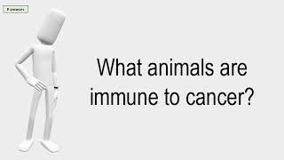 What Animals Are Immune To Cancer