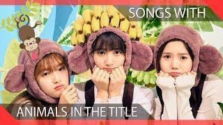 KPOP Songs With Animals In The Title