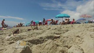 Ocean City Says Women Going Topless On Beach Is 'Unpalatable'