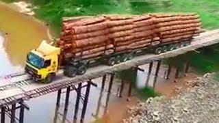 Dangerous Forest Fire Tree Felling Cutting Down ChainSaw Smash Car Epic Fail Timber Transportation