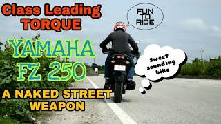 YAMAHA FZ 250 FIRST RIDE EXPERIENCE & OVERVIEW || A PERFECT NAKED STREET FIGHTER || ft AFTER RIDE