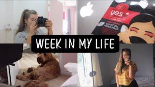 WEEKLY VLOG// friends, face masks and cooking (fail)
