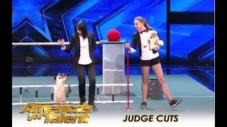 The Savitsky Cats: The Most TALENTED Cats You Won't Believe It! | America's Got Talent 2018