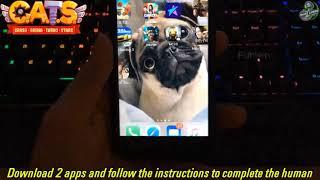 CATS Crash Arena Turbo Stars Hack ios apk - CATS Crash Arena Turbo Stars funny fails