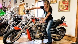 Holy Sh*t, is that a Naked Woman?! Coolest, Most Unusual Harley Davidson Dealership in America