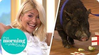 Holly Runs Away From Marcus the Mystic Pig! | This Morning