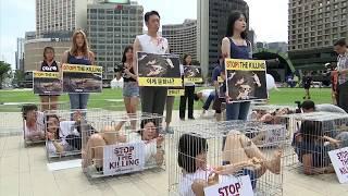 Can PETA & ALF Naked Girls In Cages Convince U Love Animals, Go Vegan & Live Cruelty Free?
