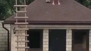 Jumping from a roof to the pool. Fail